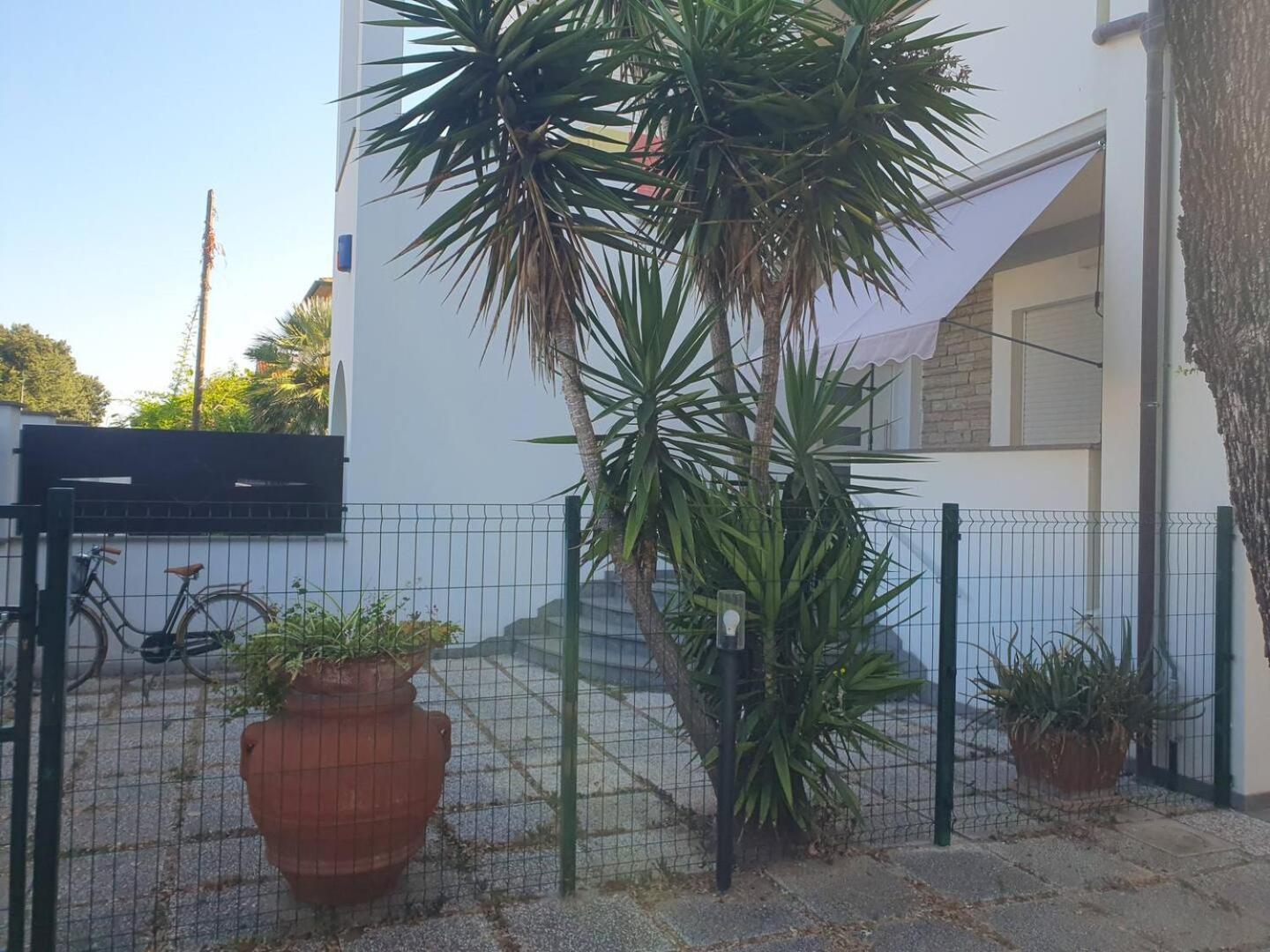 Lecci Al Mare Daire San Vincenzo Dış mekan fotoğraf